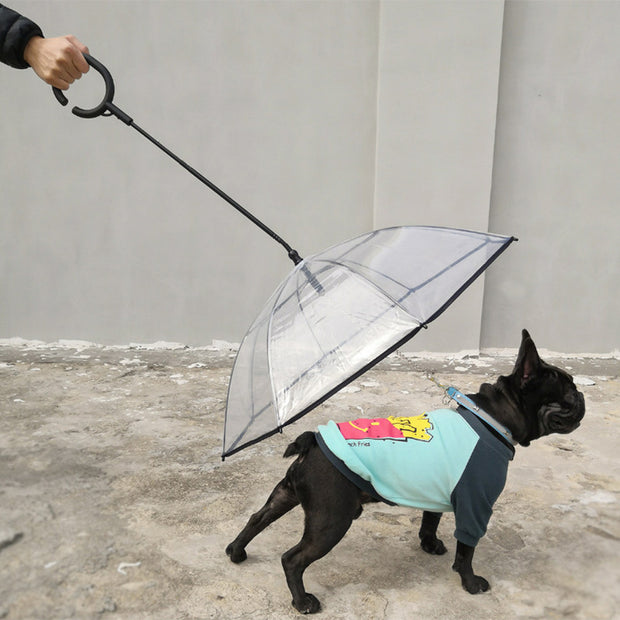 Pet Dog Transparent Umbrella - Tush Store