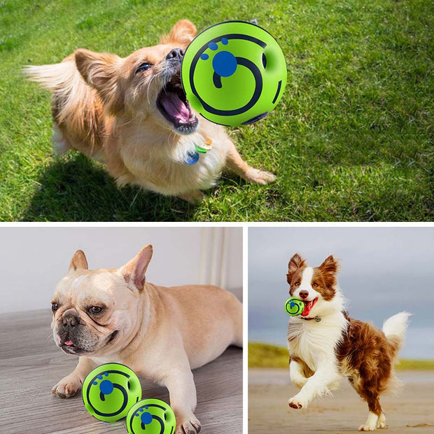 Resistant To Biting Teeth Dog Vocal Ball Toy - Tush Store