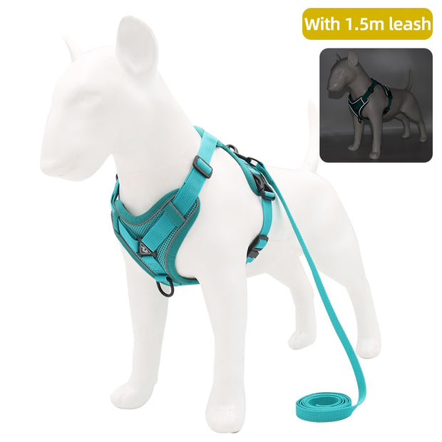 Adjustable Reflective Traction Leash Set - Tush Store