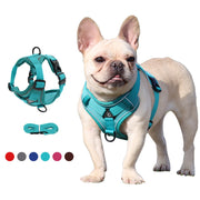 Adjustable Reflective Traction Leash Set - Tush Store