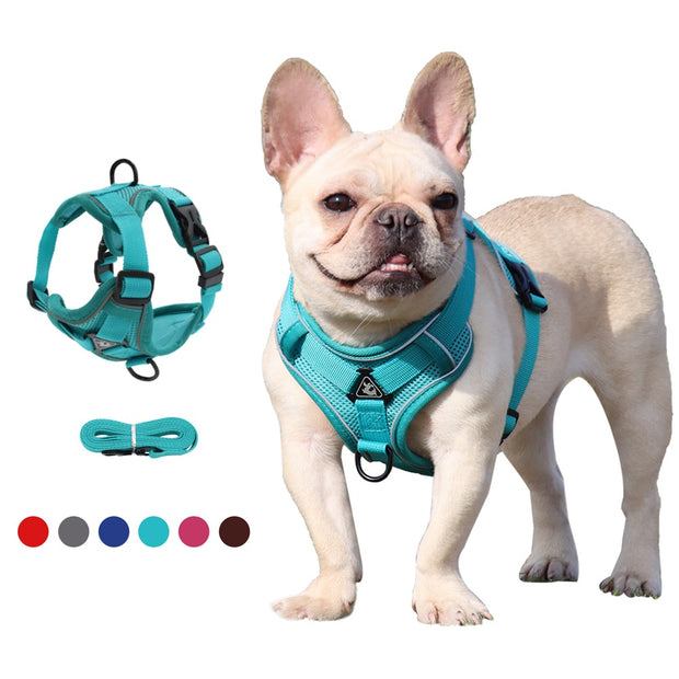 Adjustable Reflective Traction Leash Set - Tush Store