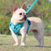 Adjustable Reflective Traction Leash Set - Tush Store
