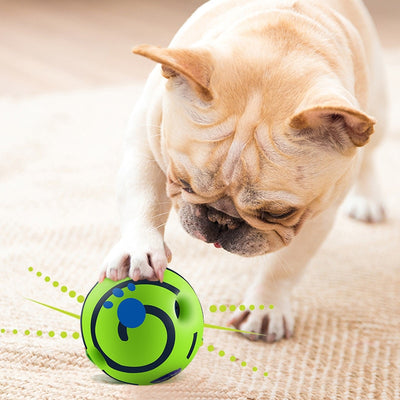 Resistant To Biting Teeth Dog Vocal Ball Toy - Tush Store