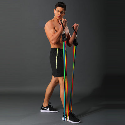 Resistance Bands Set - Tush Store