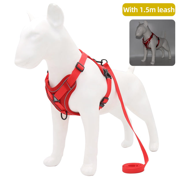 Adjustable Reflective Traction Leash Set - Tush Store