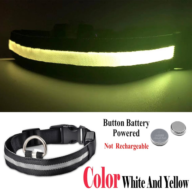 USB Rechargeable Pet Dog LED Glowing Collars - Tush Store
