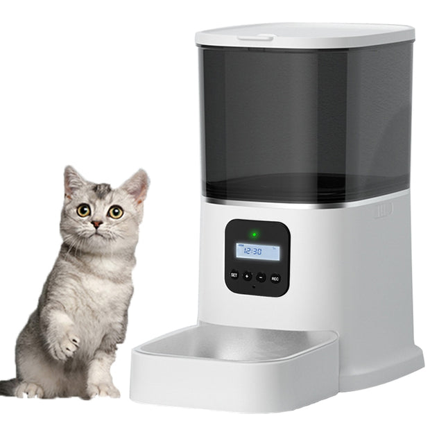 Pet Automatic Smart Food Dispenser - Tush Store