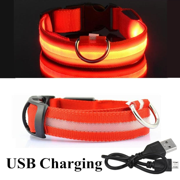 USB Rechargeable Pet Dog LED Glowing Collars - Tush Store