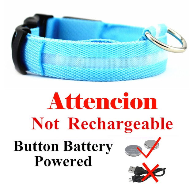USB Rechargeable Pet Dog LED Glowing Collars - Tush Store