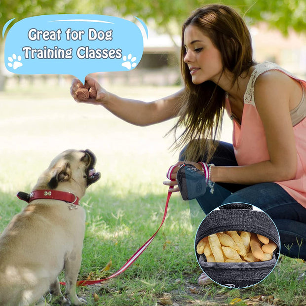 Multifunction Travel Poop Bag Carrier - Tush Store