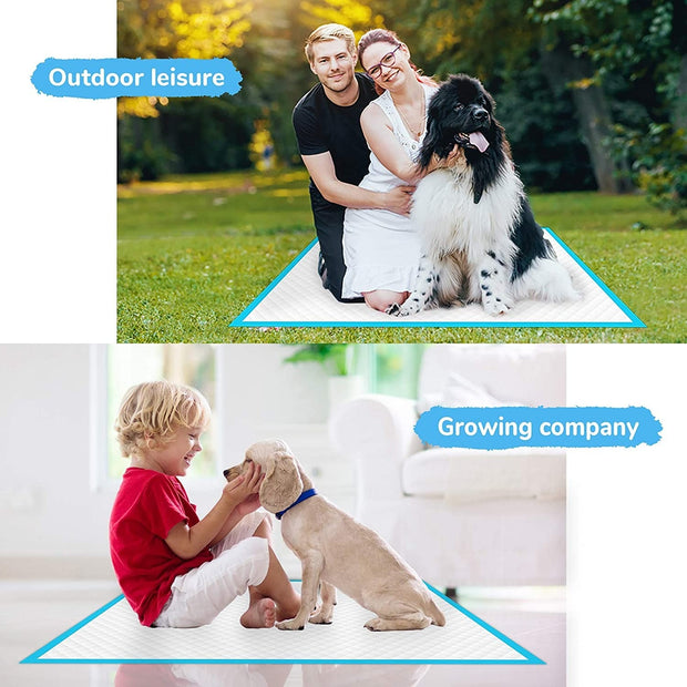 Dog and Puppy Pee Pads