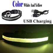 USB Rechargeable Pet Dog LED Glowing Collars - Tush Store