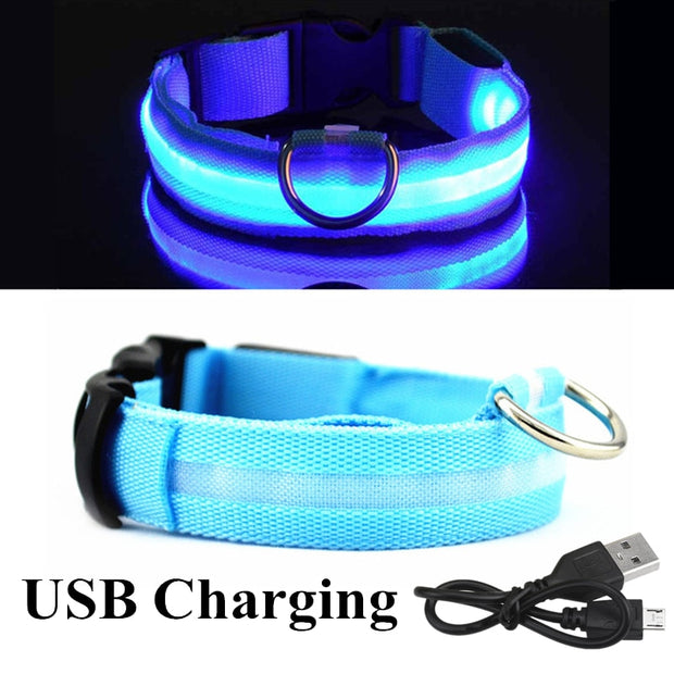 USB Rechargeable Pet Dog LED Glowing Collars - Tush Store