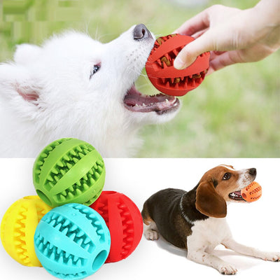 Interactive Rubber Balls Chewing Toys - Tush Store