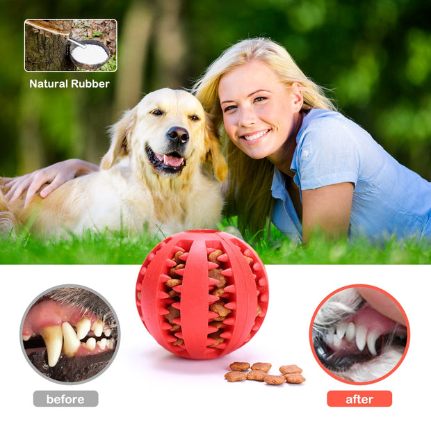 Interactive Rubber Balls Chewing Toys - Tush Store