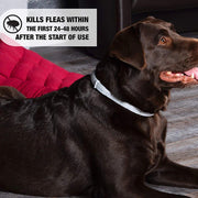 Anti Flea Tick Collar - Tush Store