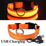 USB Rechargeable Pet Dog LED Glowing Collars - Tush Store