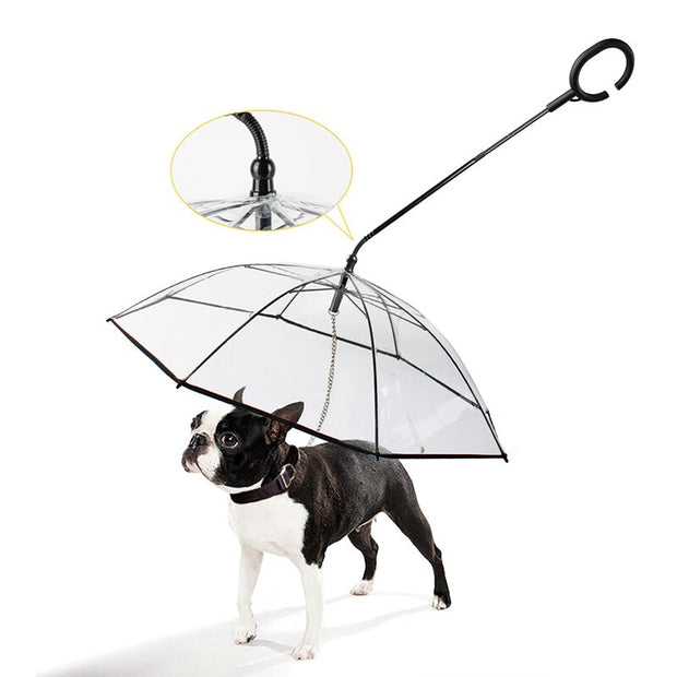 Pet Dog Transparent Umbrella - Tush Store