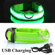 USB Rechargeable Pet Dog LED Glowing Collars - Tush Store