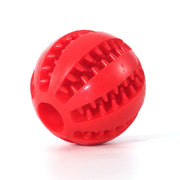 Interactive Rubber Balls Chewing Toys - Tush Store