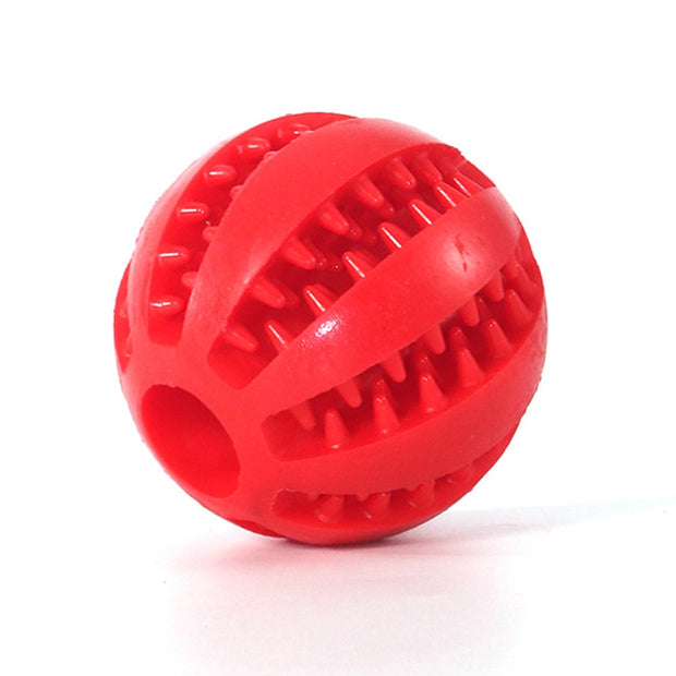 Interactive Rubber Balls Chewing Toys - Tush Store