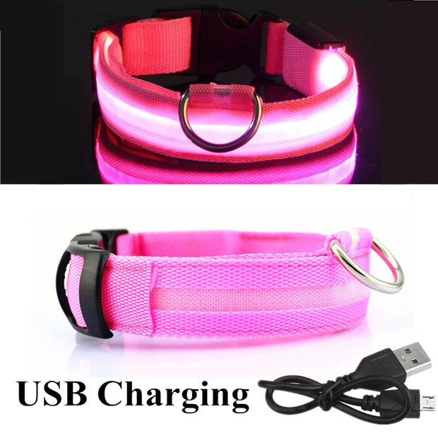 USB Rechargeable Pet Dog LED Glowing Collars - Tush Store