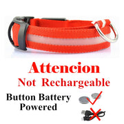 USB Rechargeable Pet Dog LED Glowing Collars - Tush Store