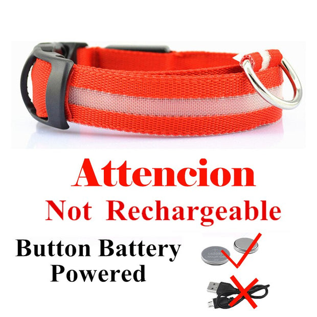 USB Rechargeable Pet Dog LED Glowing Collars - Tush Store