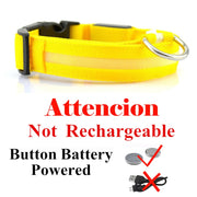 USB Rechargeable Pet Dog LED Glowing Collars - Tush Store