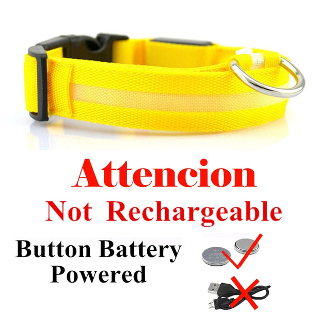 USB Rechargeable Pet Dog LED Glowing Collars - Tush Store