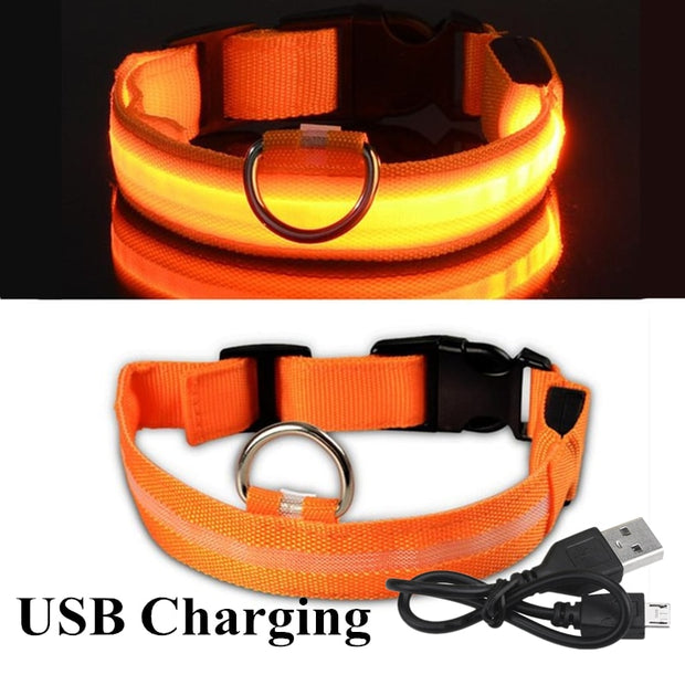 USB Rechargeable Pet Dog LED Glowing Collars - Tush Store